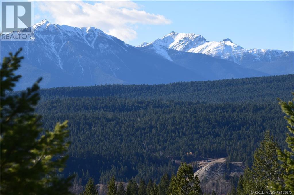 7062 White Tail Lane Lot# Lot 18, Radium Hot Springs, British Columbia  V0A 1M0 - Photo 11 - 10358151