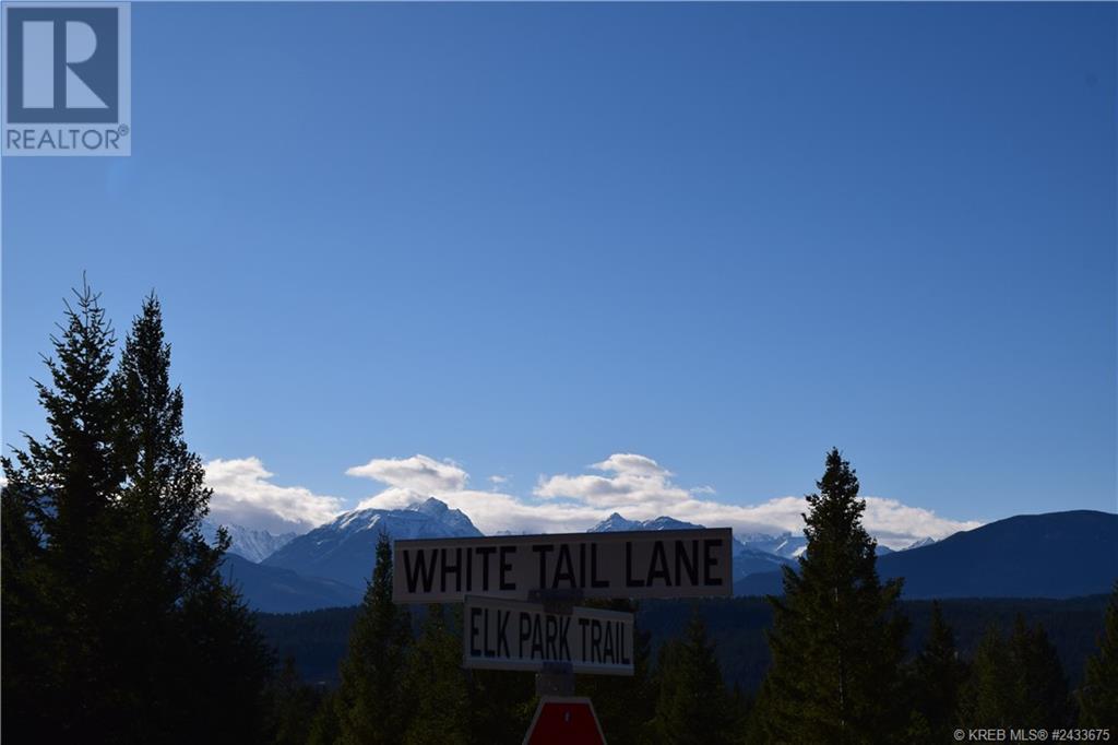 7062 White Tail Lane Lot# Lot 18, Radium Hot Springs, British Columbia  V0A 1M0 - Photo 15 - 10358151
