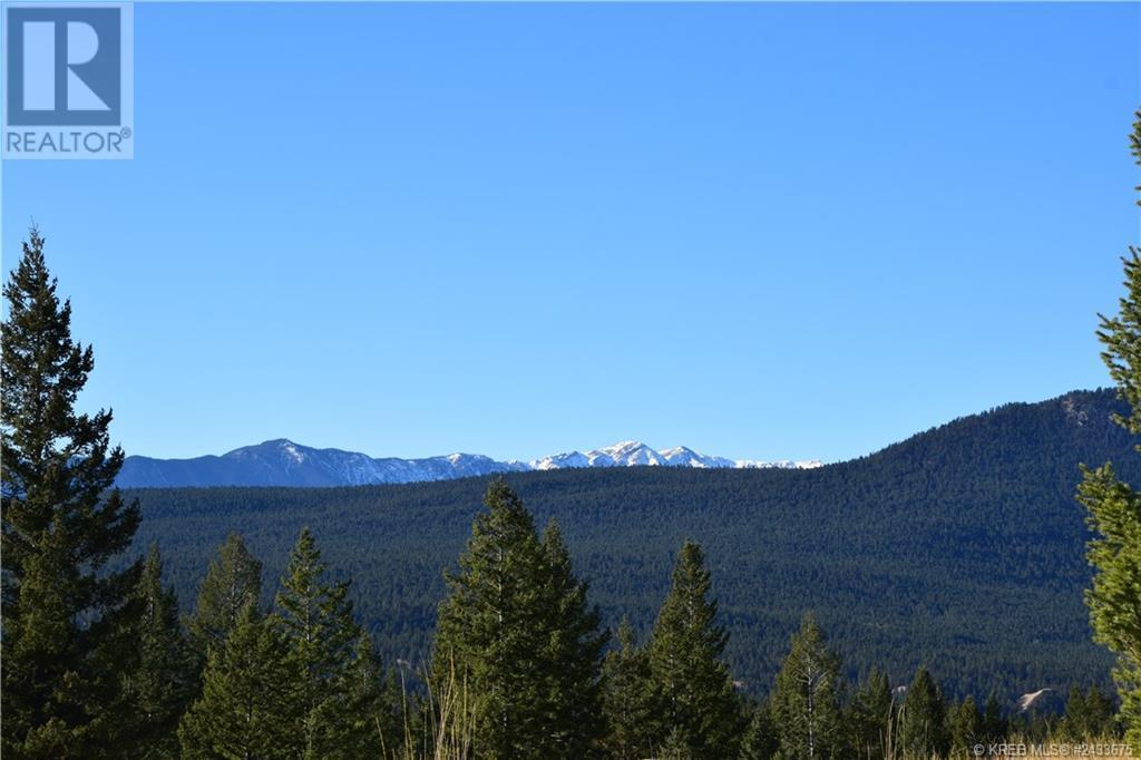 7062 White Tail Lane Lot# Lot 18, Radium Hot Springs, British Columbia  V0A 1M0 - Photo 17 - 10358151