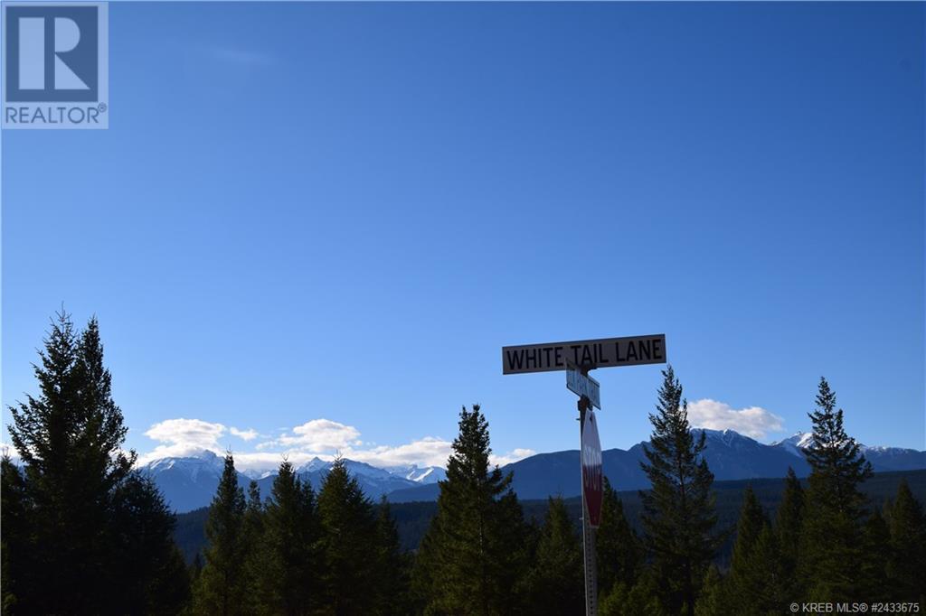 7062 White Tail Lane Lot# Lot 18, Radium Hot Springs, British Columbia  V0A 1M0 - Photo 2 - 10358151