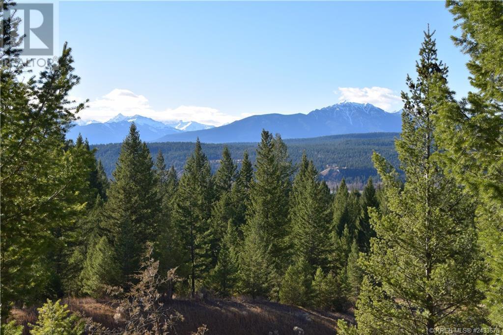7062 White Tail Lane Lot# Lot 18, Radium Hot Springs, British Columbia  V0A 1M0 - Photo 8 - 10358151