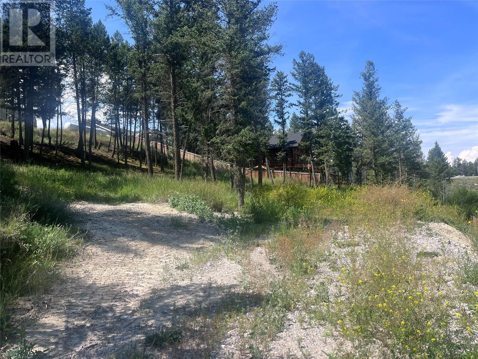1049 Swansea Road, Invermere, British Columbia  V0A 1K3 - Photo 21 - 10357843