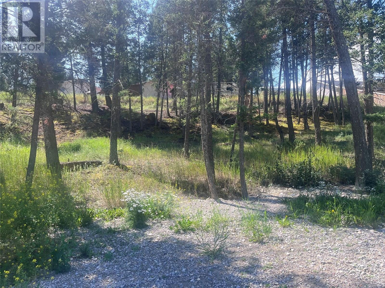 1049 Swansea Road, Invermere, British Columbia  V0A 1K3 - Photo 22 - 10357843