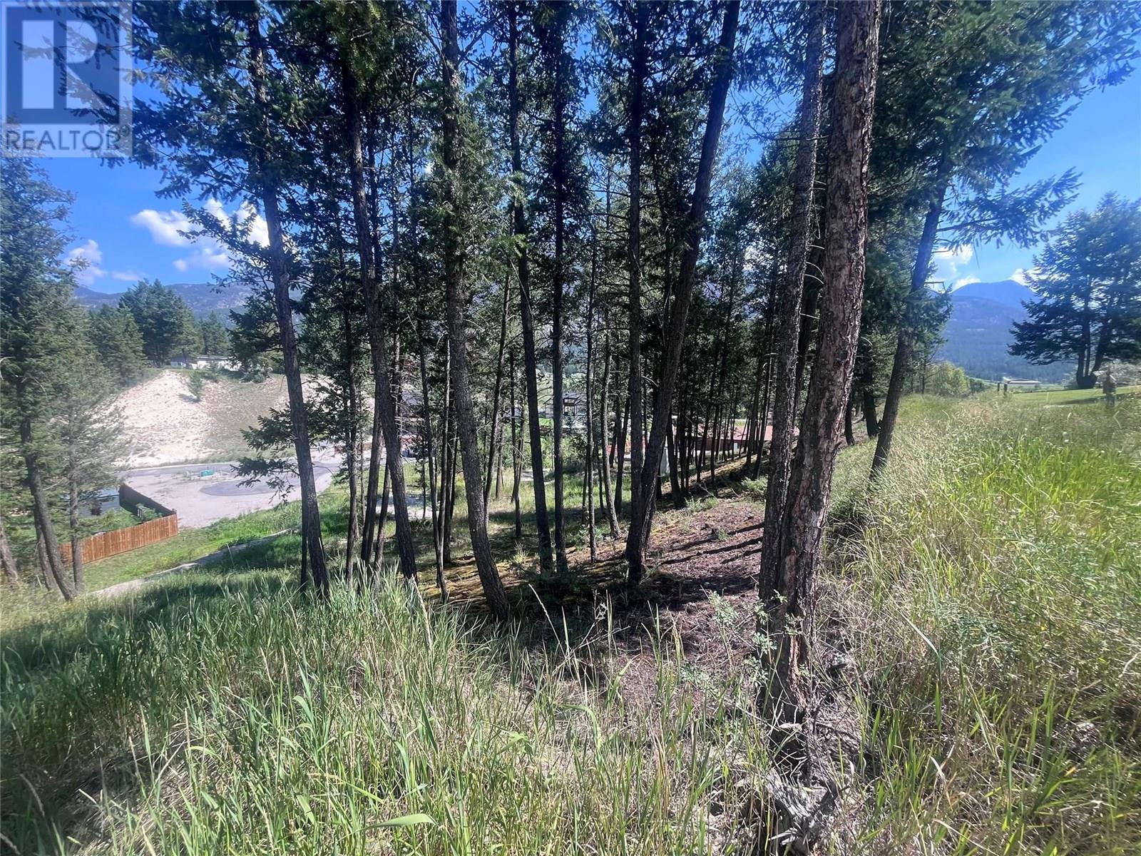 1049 Swansea Road, Invermere, British Columbia  V0A 1K3 - Photo 23 - 10357843
