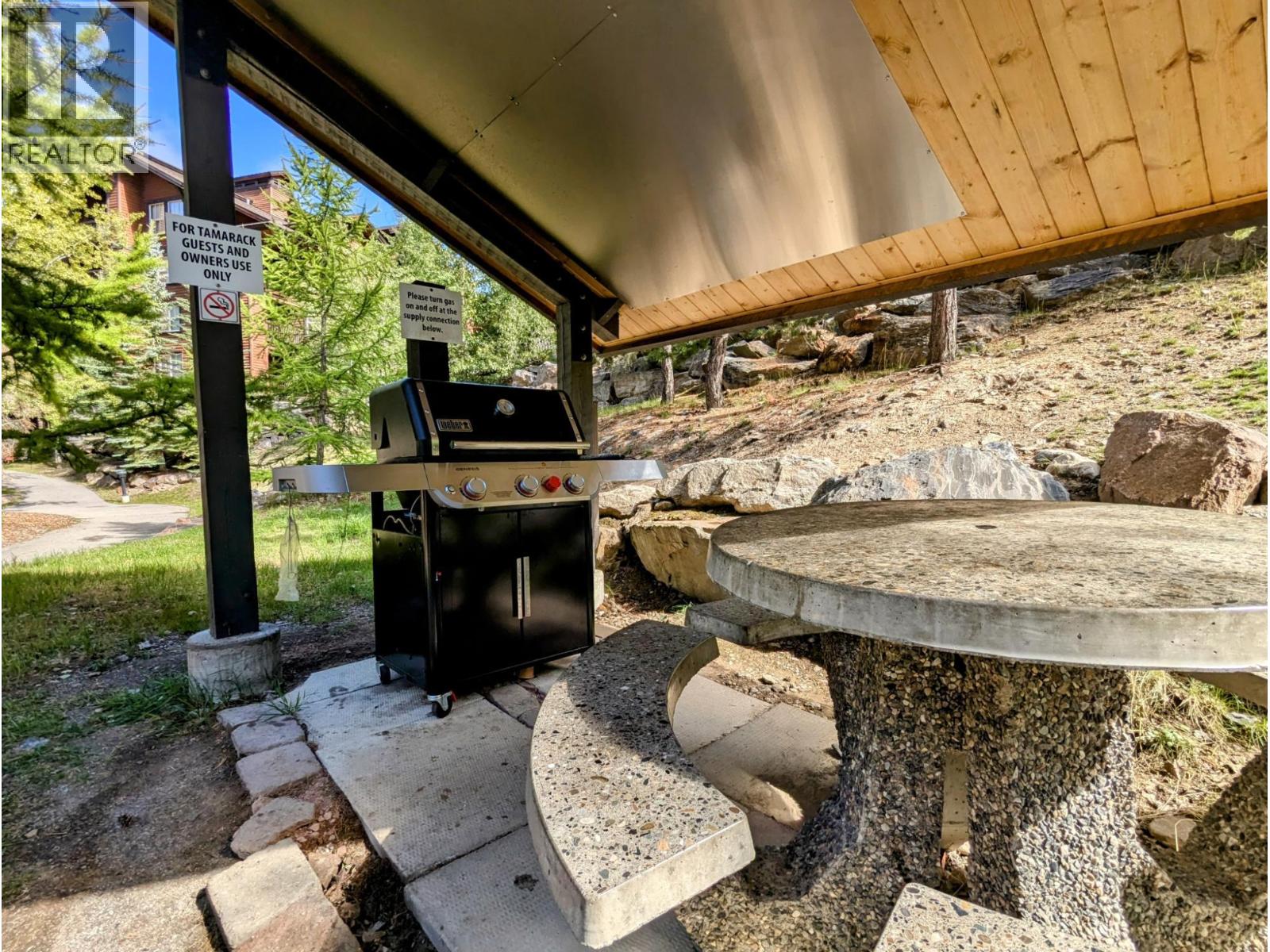 2060 Summit Drive Unit# 208, Panorama, British Columbia  V0A 1T0 - Photo 28 - 10358775