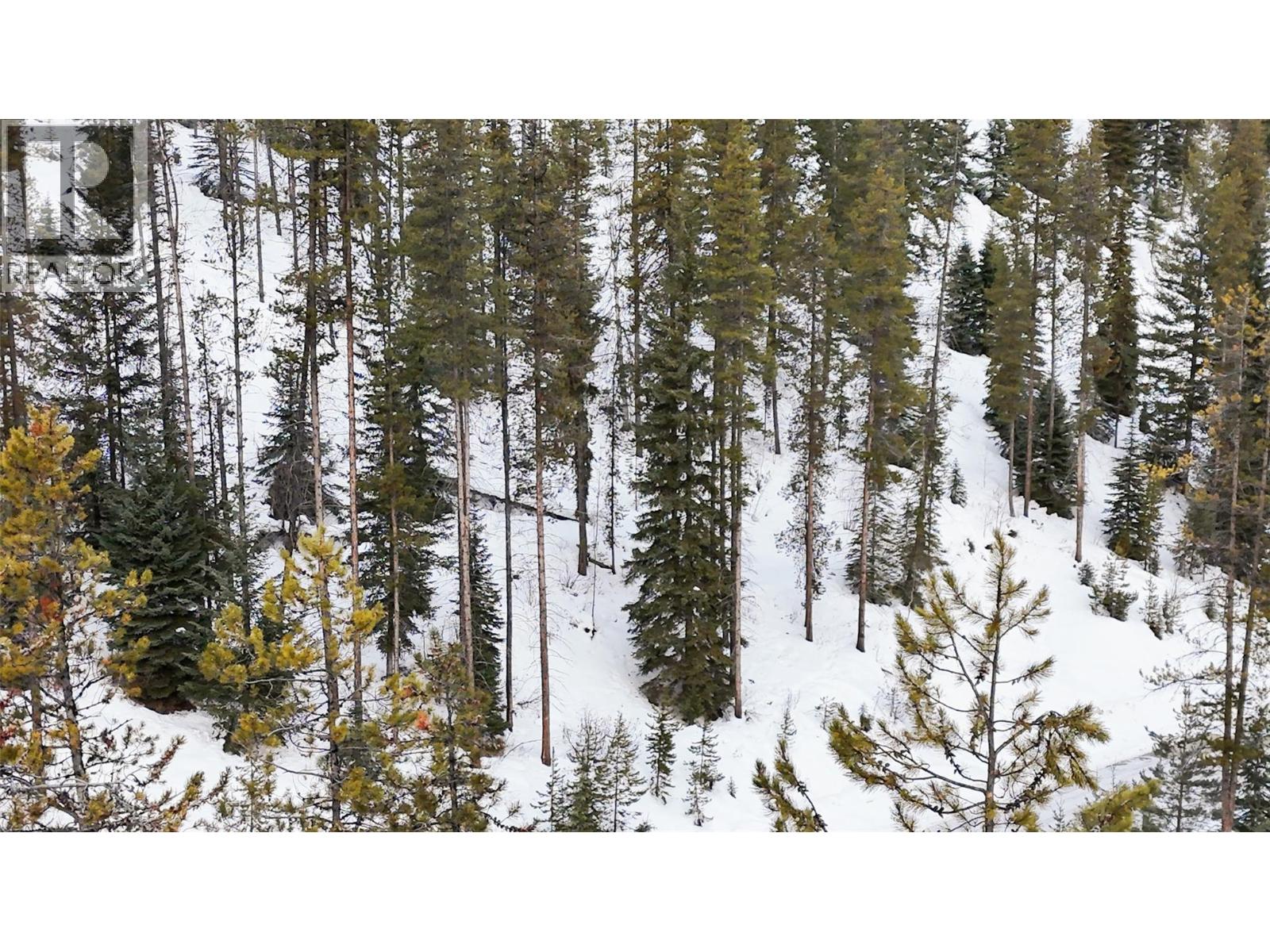 Lot 7 Greywolf Drive, Panorama, British Columbia  V0A 1T0 - Photo 17 - 10359008