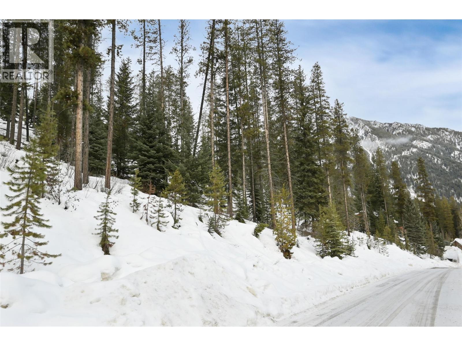 Lot 7 Greywolf Drive, Panorama, British Columbia  V0A 1T0 - Photo 22 - 10359008