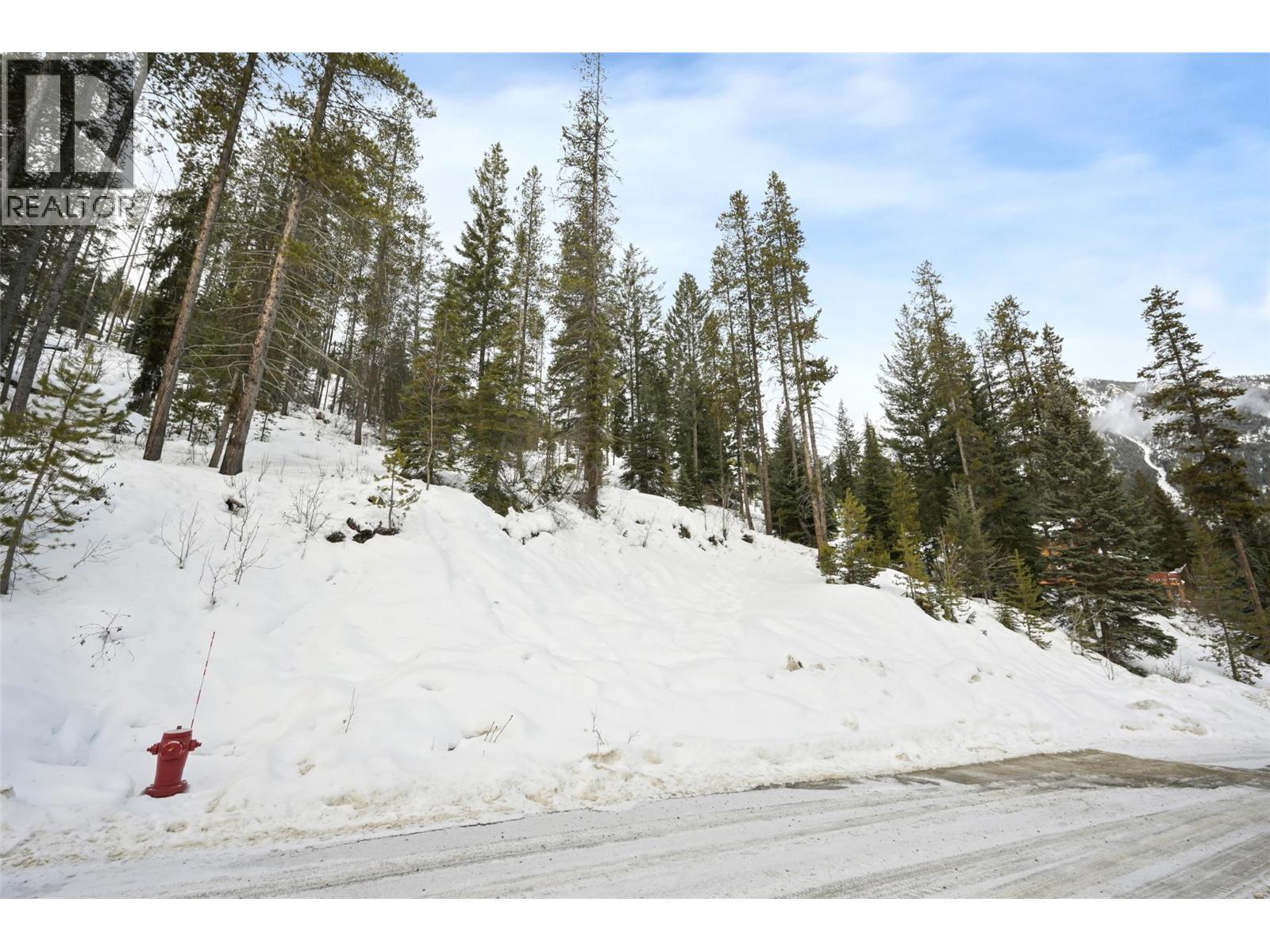Lot 7 Greywolf Drive, Panorama, British Columbia  V0A 1T0 - Photo 26 - 10359008