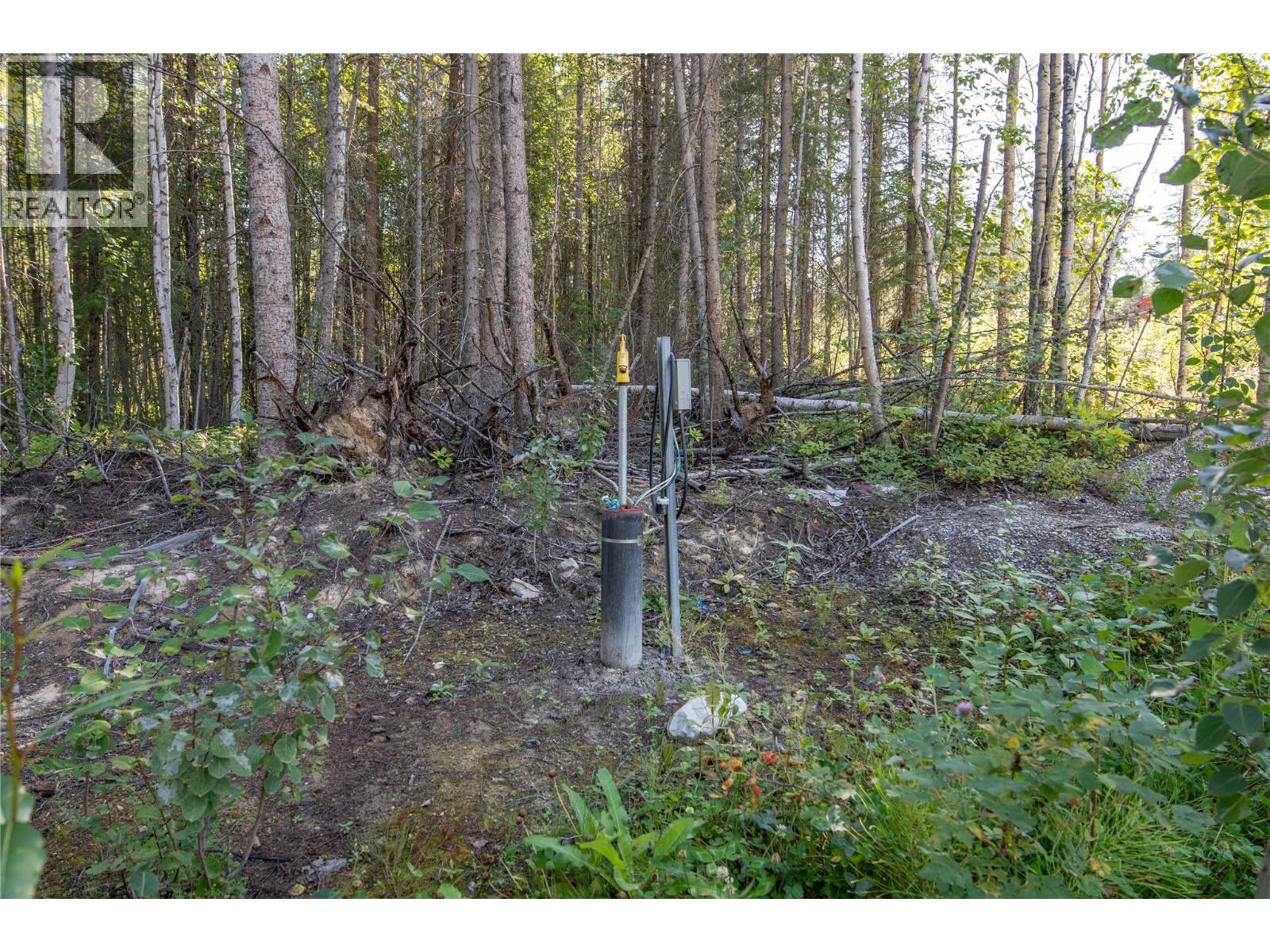 1524 Kashmir Court, Golden, British Columbia  V0A 1H1 - Photo 9 - 10359332