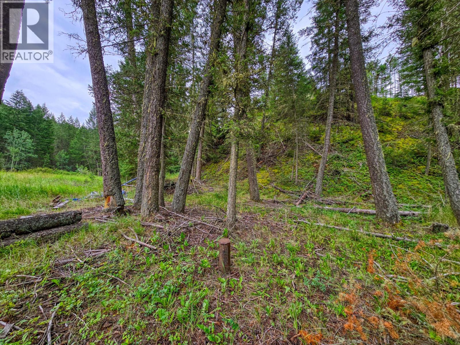 Lot 1 62 Mile Road, Edgewater, British Columbia  V0A 1E0 - Photo 17 - 10359787