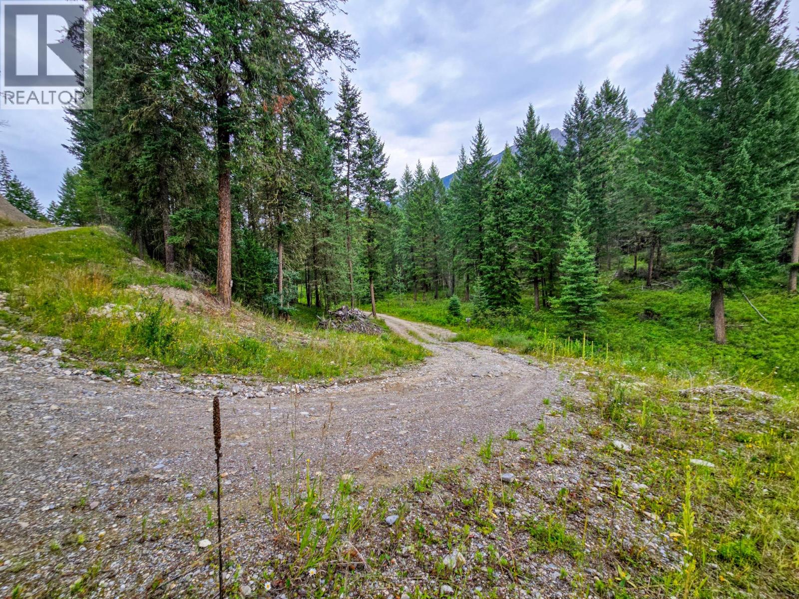 Lot 1 62 Mile Road, Edgewater, British Columbia  V0A 1E0 - Photo 18 - 10359787