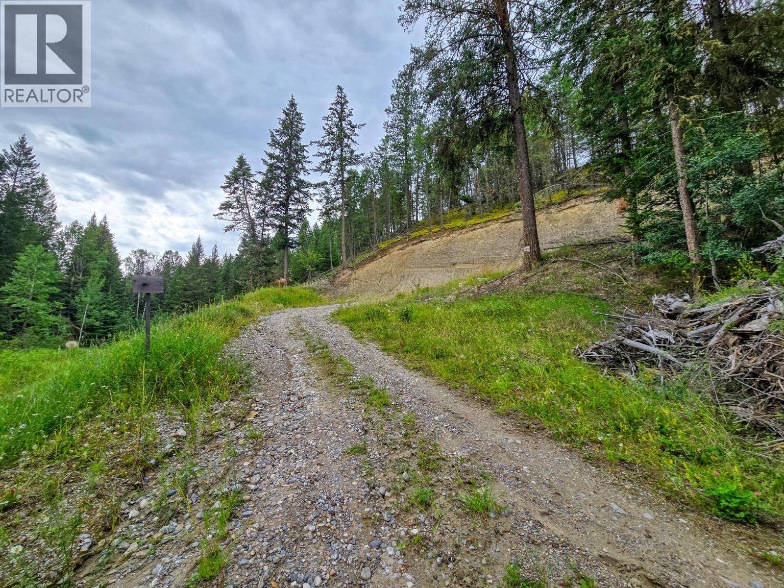 Lot 1 62 Mile Road, Edgewater, British Columbia  V0A 1E0 - Photo 19 - 10359787