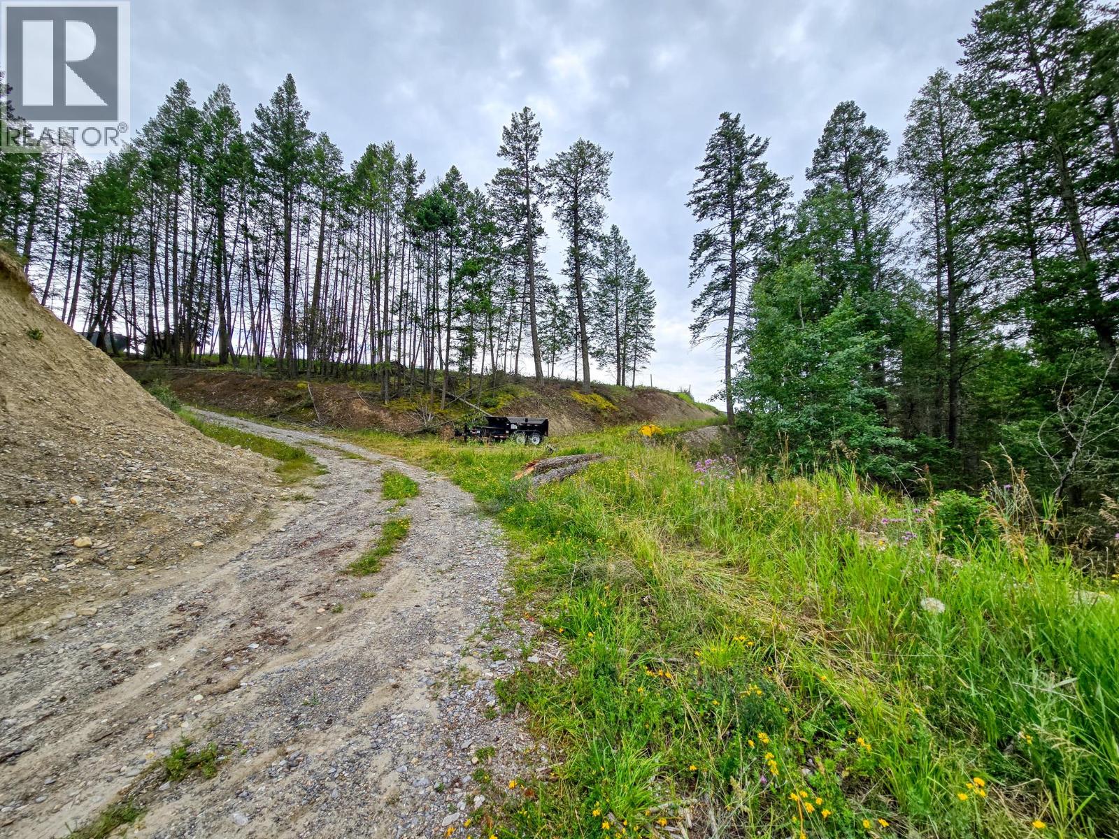 Lot 1 62 Mile Road, Edgewater, British Columbia  V0A 1E0 - Photo 21 - 10359787