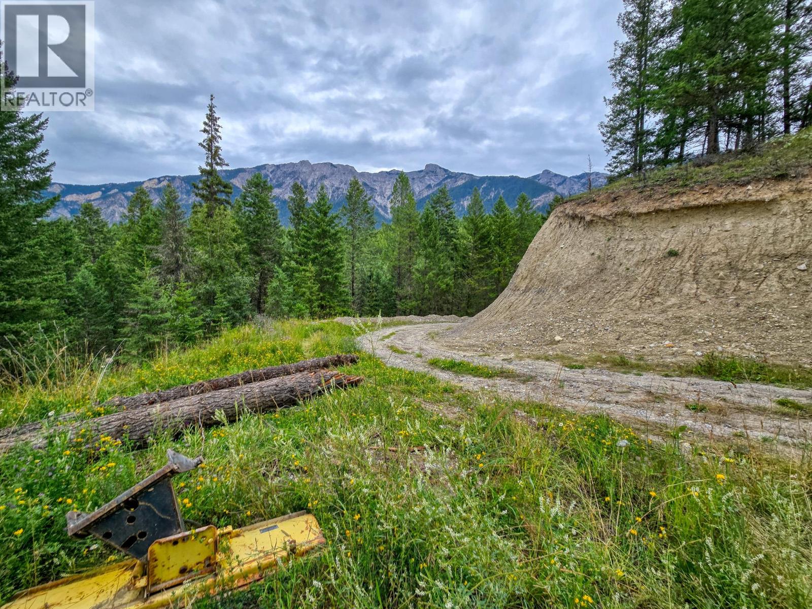 Lot 1 62 Mile Road, Edgewater, British Columbia  V0A 1E0 - Photo 23 - 10359787