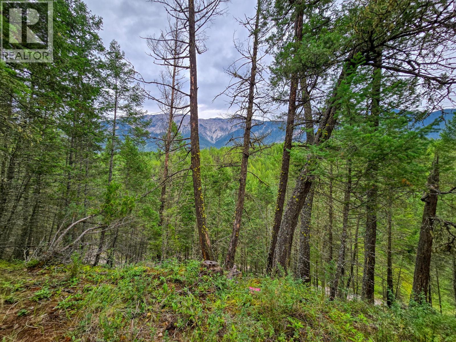 Lot 1 62 Mile Road, Edgewater, British Columbia  V0A 1E0 - Photo 24 - 10359787