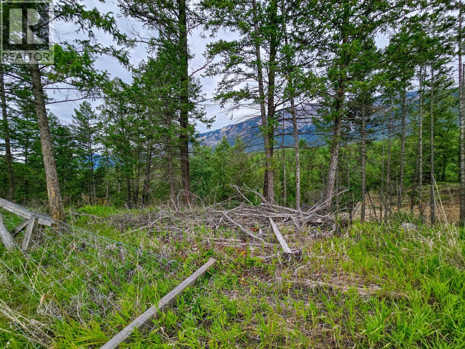 Lot 1 62 Mile Road, Edgewater, British Columbia  V0A 1E0 - Photo 26 - 10359787