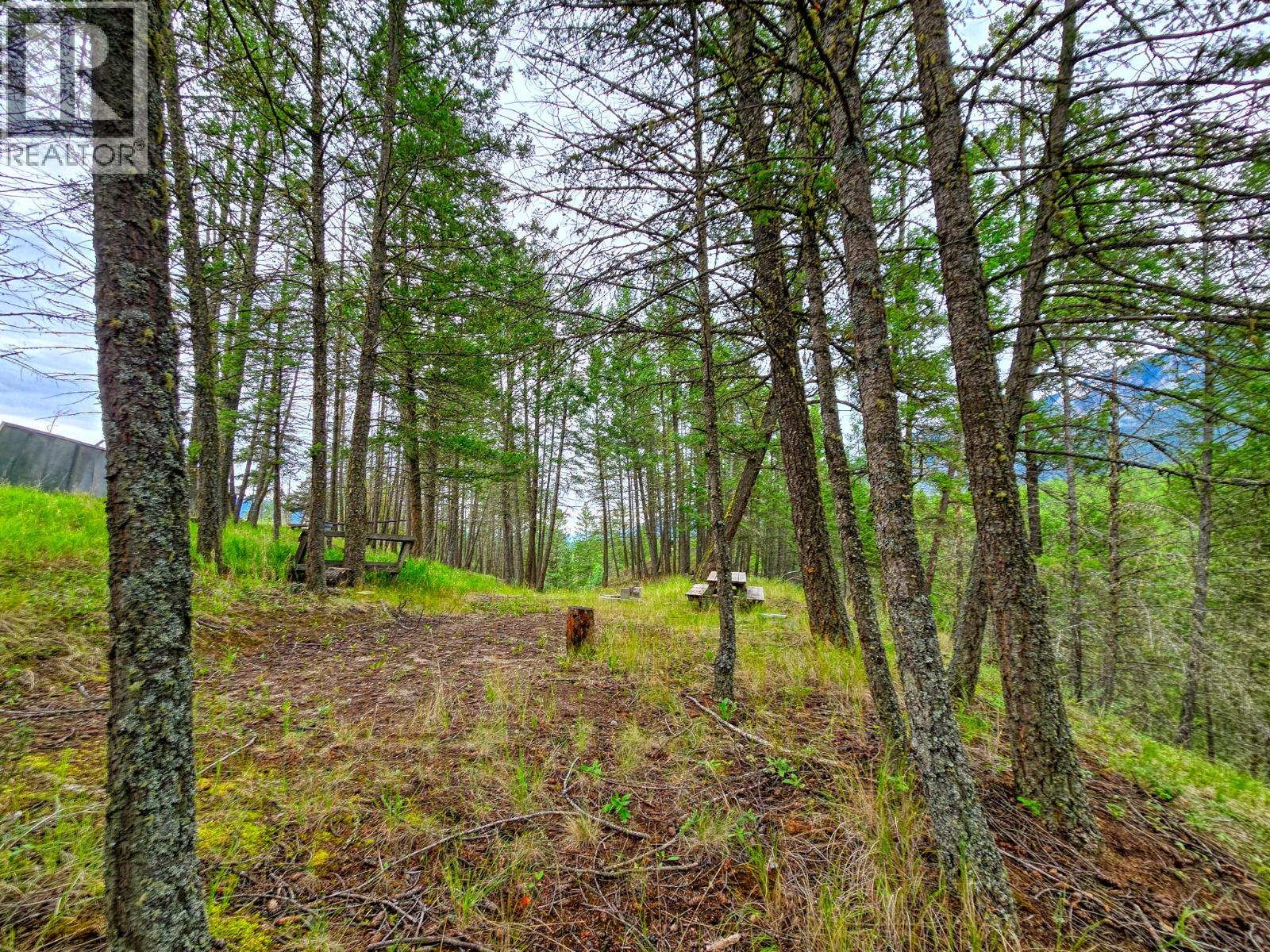 Lot 1 62 Mile Road, Edgewater, British Columbia  V0A 1E0 - Photo 27 - 10359787