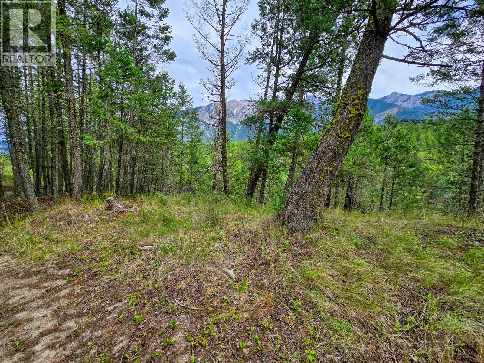 Lot 1 62 Mile Road, Edgewater, British Columbia  V0A 1E0 - Photo 4 - 10359787