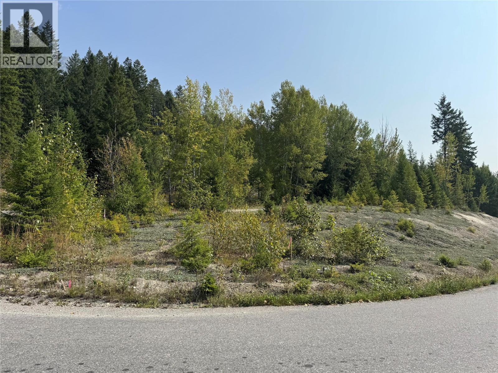 842 Almberg Road Almberg Road Unit# Proposed Lot 2, Golden, British Columbia  V0A 1H2 - Photo 11 - 10361653