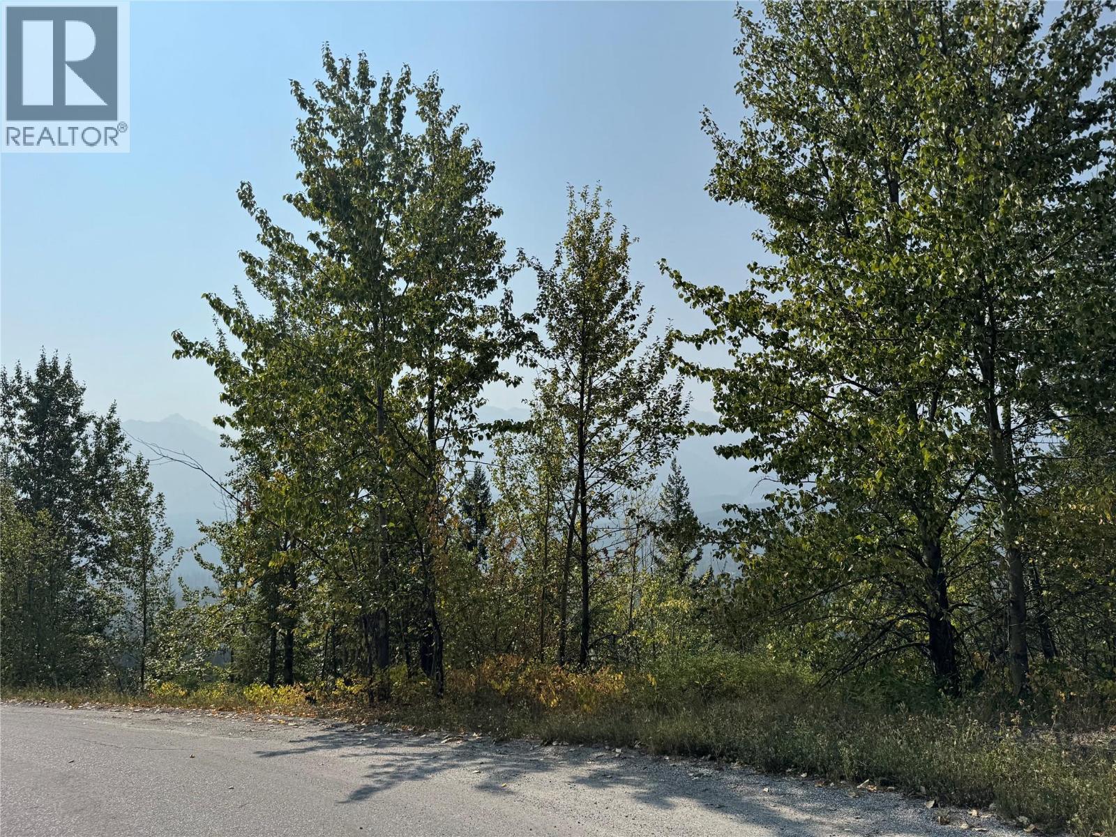 842 Almberg Road Almberg Road Unit# Proposed Lot 2, Golden, British Columbia  V0A 1H2 - Photo 12 - 10361653