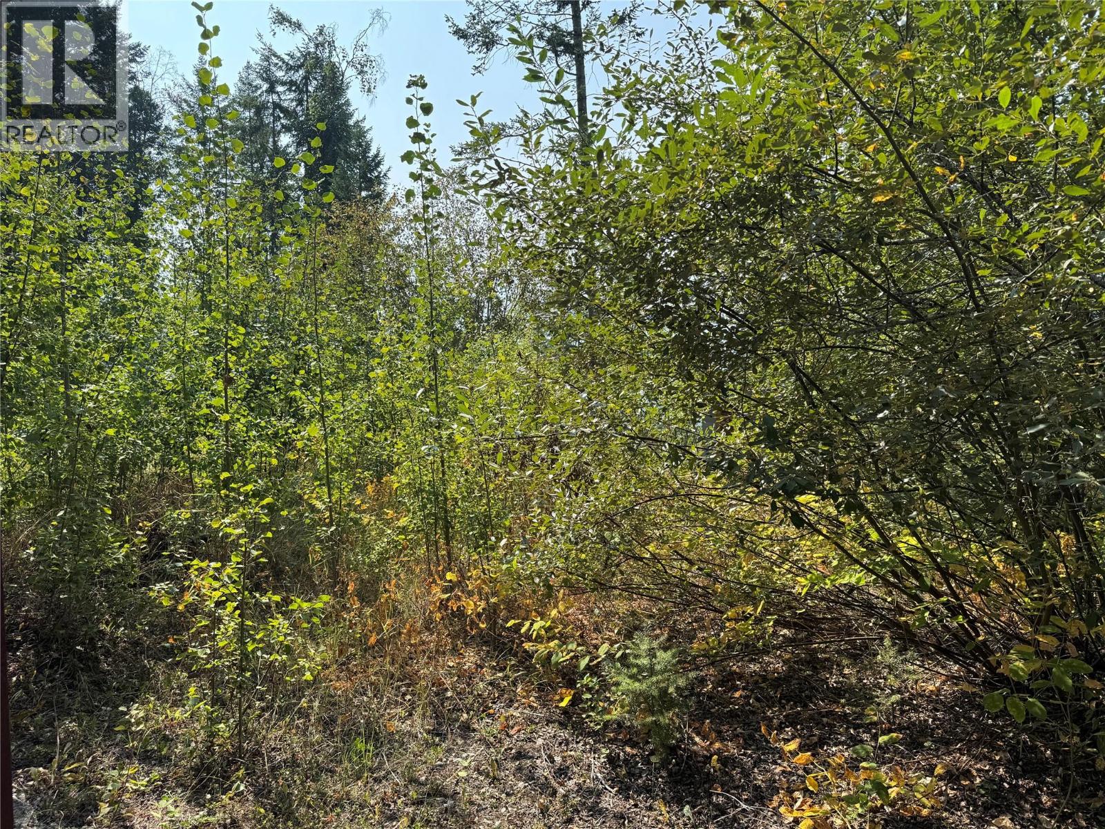 842 Almberg Road Almberg Road Unit# Proposed Lot 2, Golden, British Columbia  V0A 1H2 - Photo 5 - 10361653