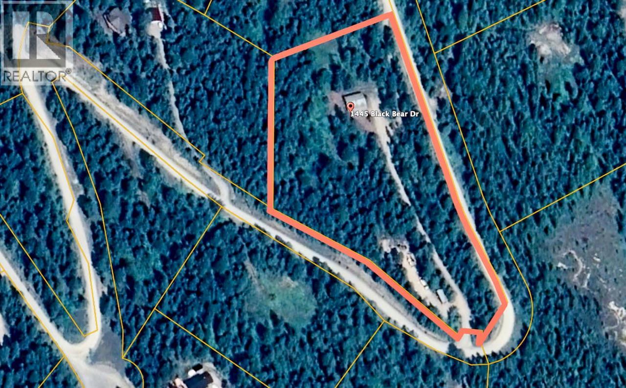 1445 Black Bear Drive, Golden, British Columbia  V0A 1H7 - Photo 2 - 10362598