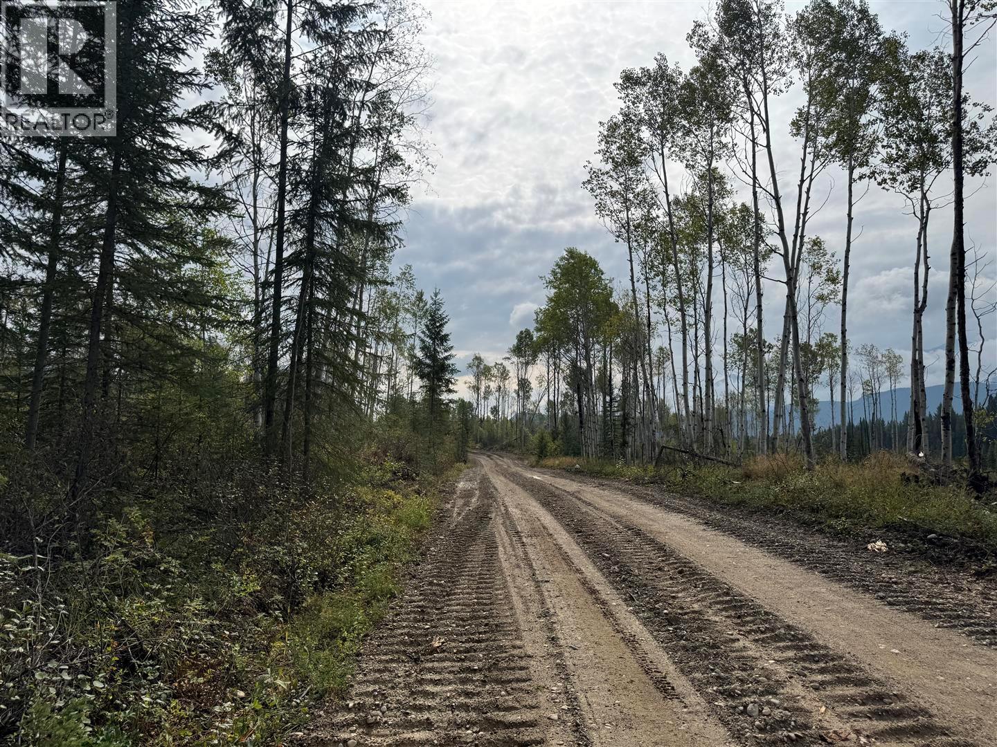 Dl 10766 Giant Min Road, Spillimacheen, British Columbia  V0A 1P0 - Photo 29 - 10363579
