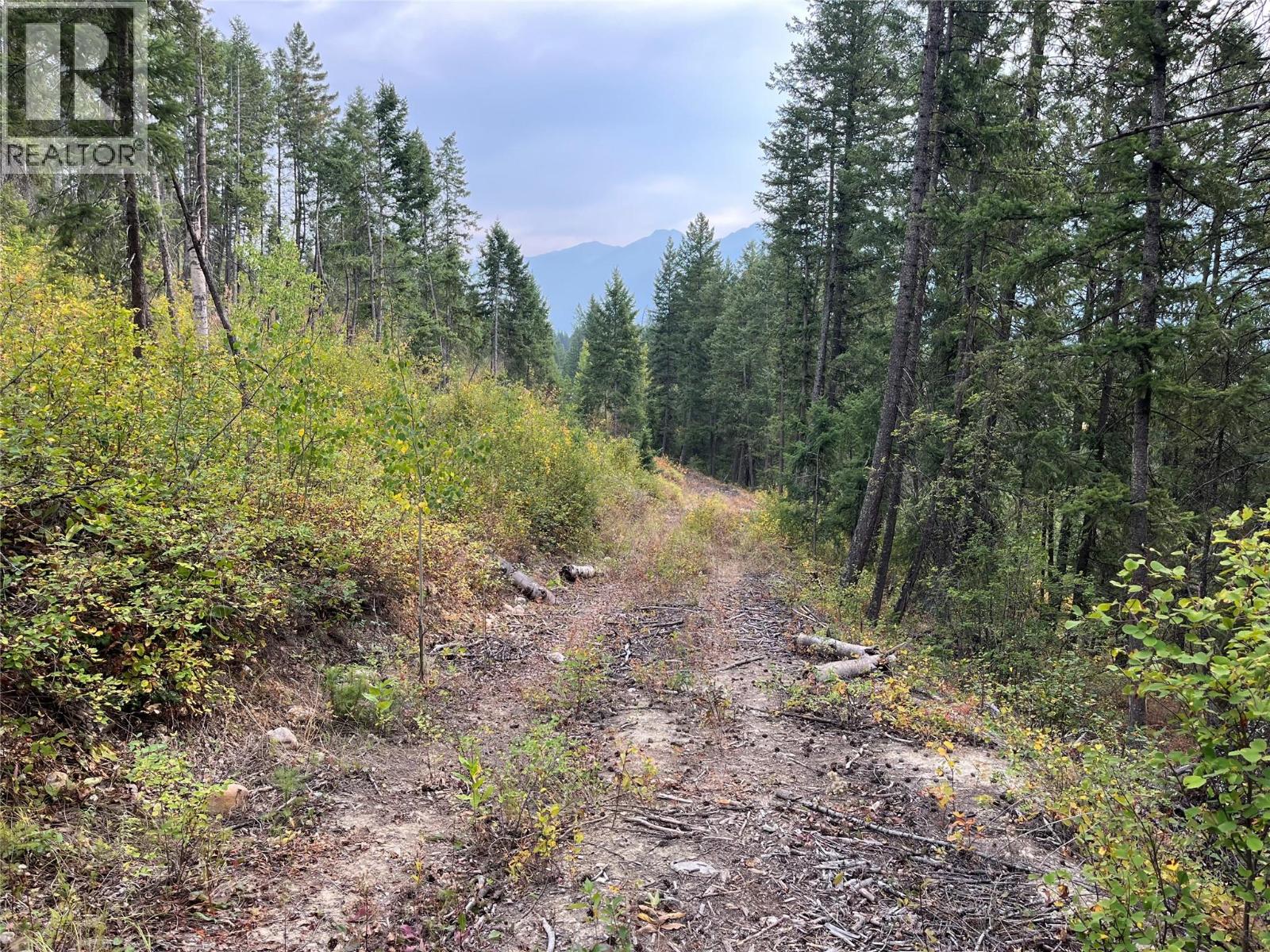 842 Almberg Road Unit# Remainder Lot# Lot, Golden, British Columbia  V0A 1H0 - Photo 2 - 10363605