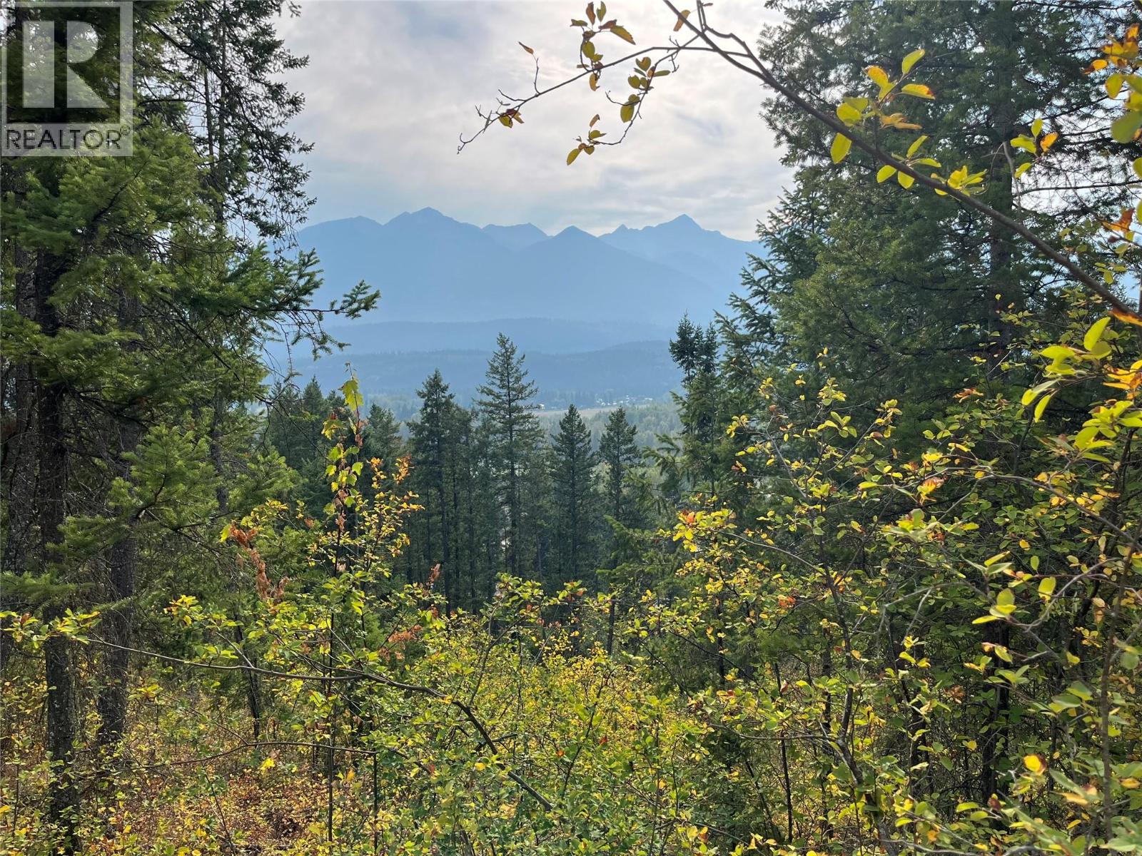 842 Almberg Road Unit# Remainder Lot# Lot, Golden, British Columbia  V0A 1H0 - Photo 6 - 10363605
