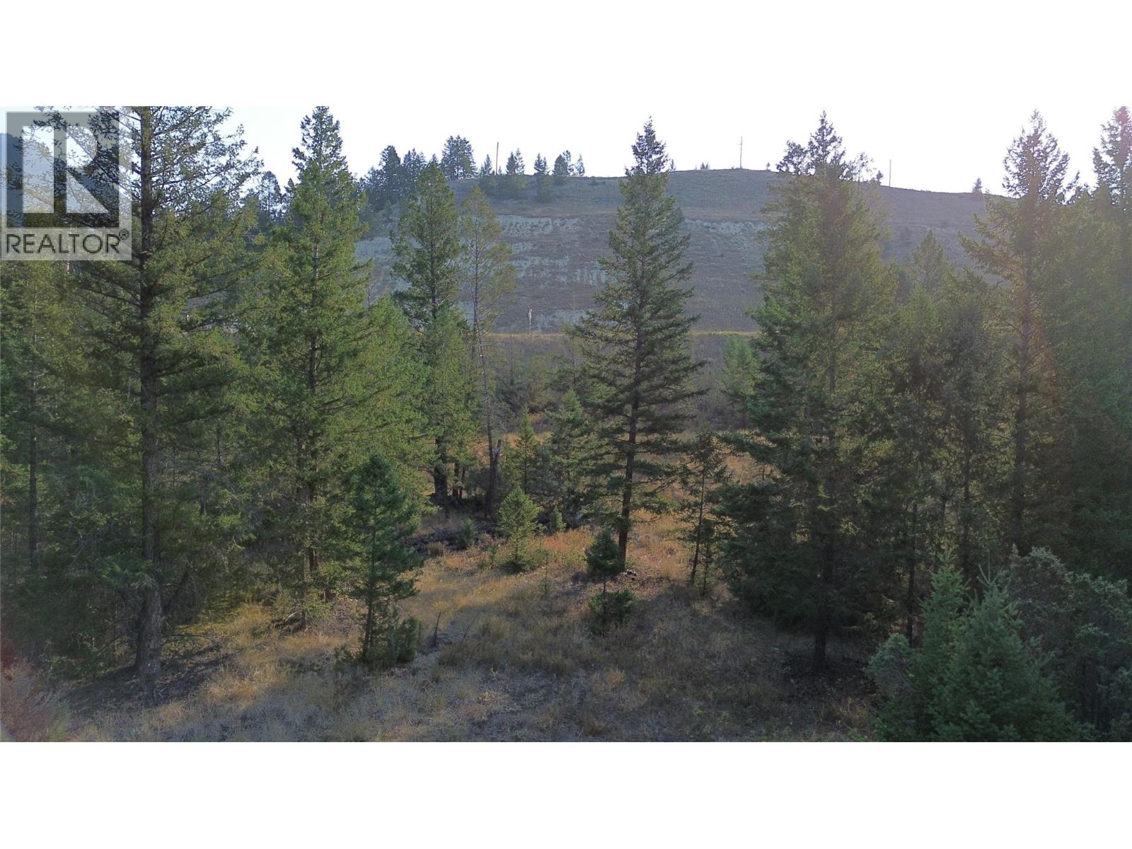 4962 Saddlewood Lane, Radium Hot Springs, British Columbia  V0A 1M0 - Photo 15 - 10363719