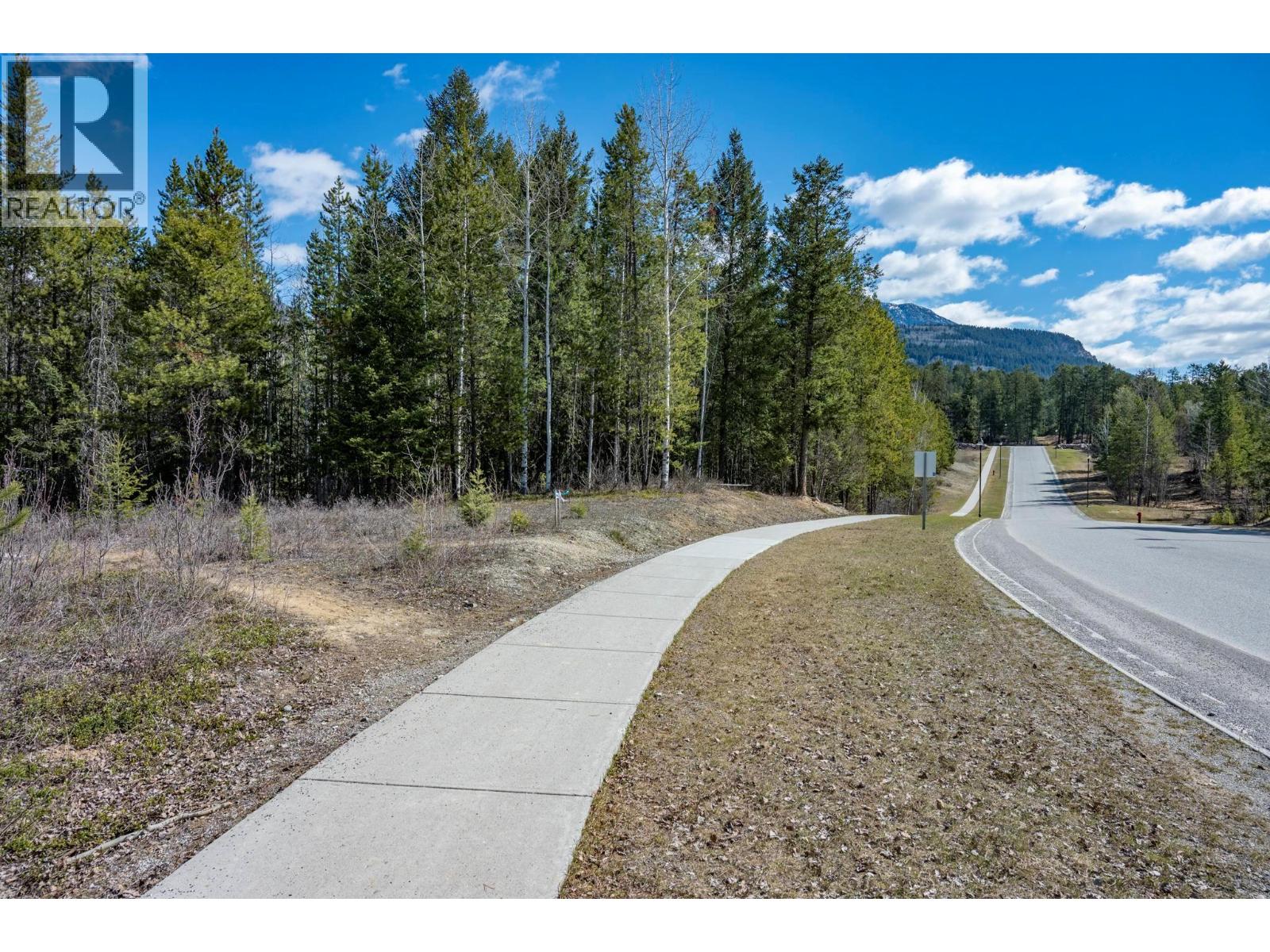 401 Golden Donald Upper Road, Golden, British Columbia  V0A 1H0 - Photo 4 - 10365010