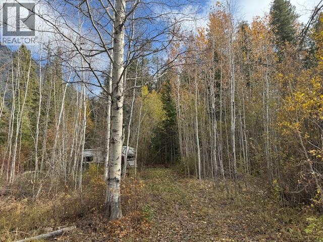 Parcel B Vermillion Street, Spillimacheen, British Columbia  V0A 1P0 - Photo 10 - 10366430