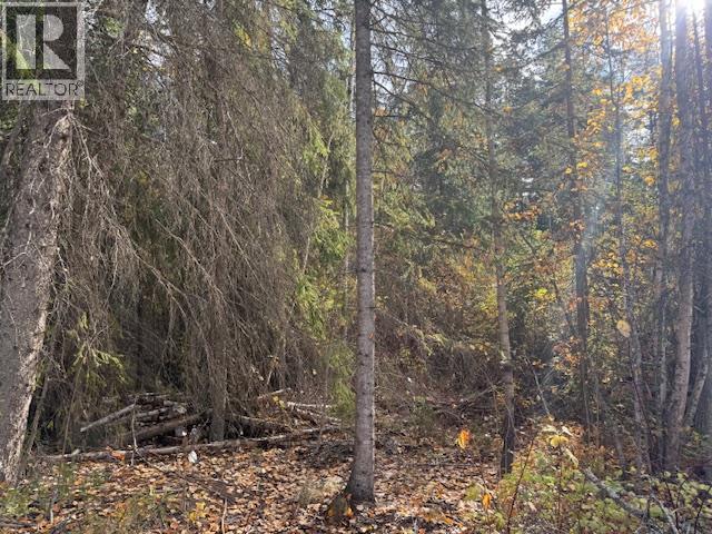 Parcel B Vermillion Street, Spillimacheen, British Columbia  V0A 1P0 - Photo 11 - 10366430