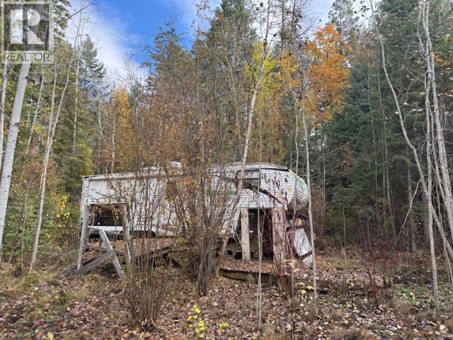 Parcel B Vermillion Street, Spillimacheen, British Columbia  V0A 1P0 - Photo 12 - 10366430