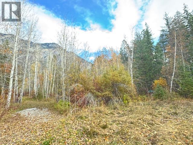 Parcel B Vermillion Street, Spillimacheen, British Columbia  V0A 1P0 - Photo 13 - 10366430