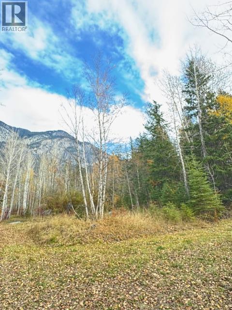 Parcel B Vermillion Street, Spillimacheen, British Columbia  V0A 1P0 - Photo 14 - 10366430