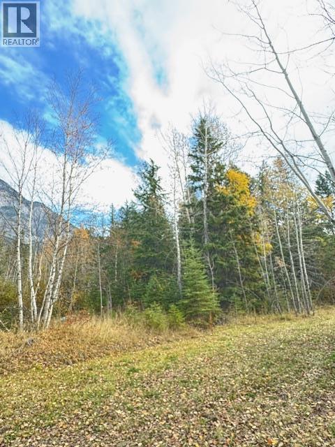 Parcel B Vermillion Street, Spillimacheen, British Columbia  V0A 1P0 - Photo 15 - 10366430