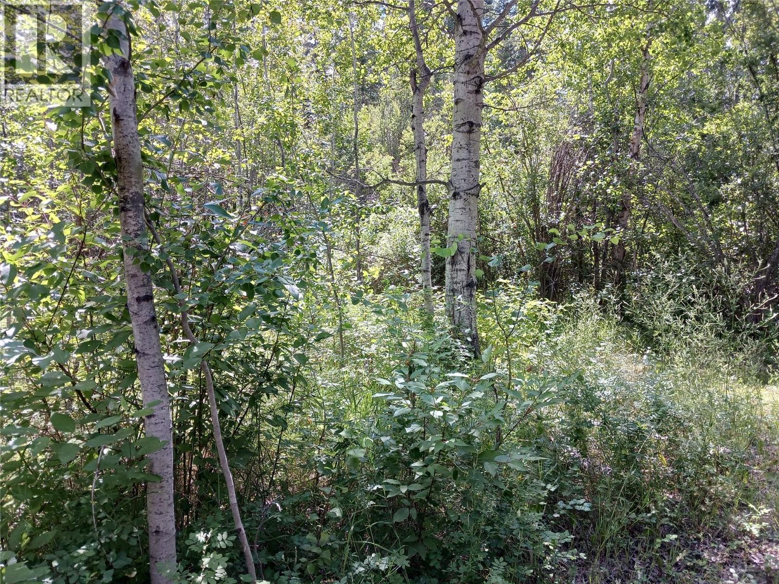 Parcel B Vermillion Street, Spillimacheen, British Columbia  V0A 1P0 - Photo 2 - 10366430