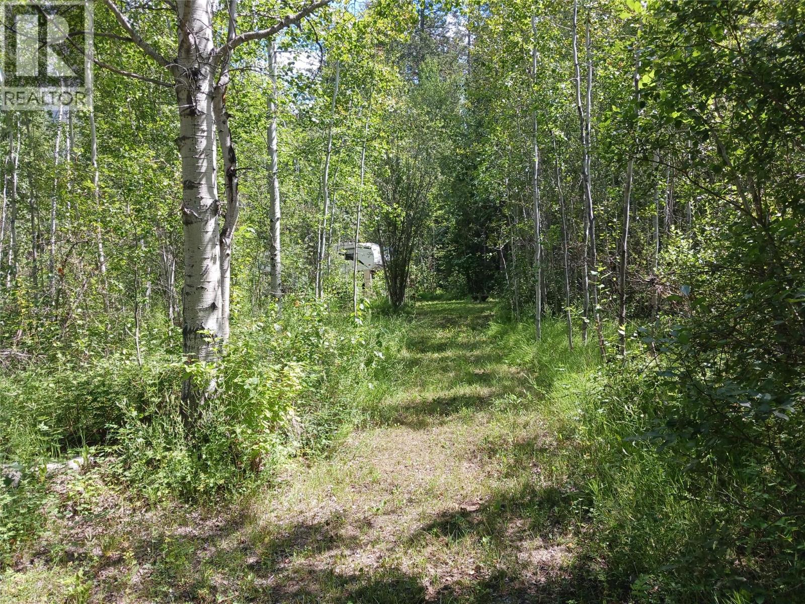 Parcel B Vermillion Street, Spillimacheen, British Columbia  V0A 1P0 - Photo 3 - 10366430
