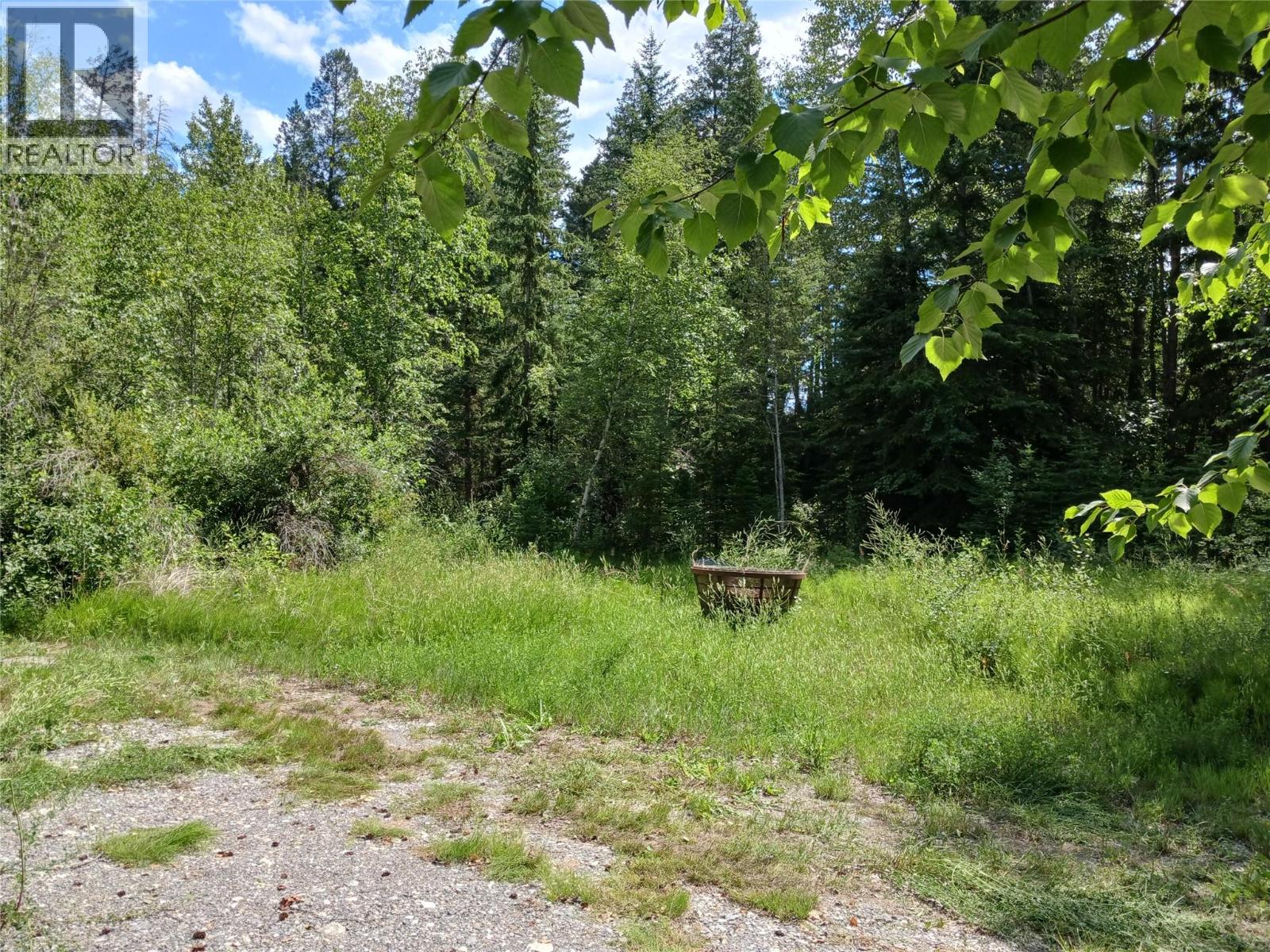 Parcel B Vermillion Street, Spillimacheen, British Columbia  V0A 1P0 - Photo 4 - 10366430