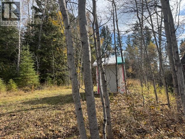 Parcel B Vermillion Street, Spillimacheen, British Columbia  V0A 1P0 - Photo 7 - 10366430