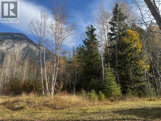 Parcel B Vermillion Street, Spillimacheen, British Columbia  V0A 1P0 - Photo 8 - 10366430