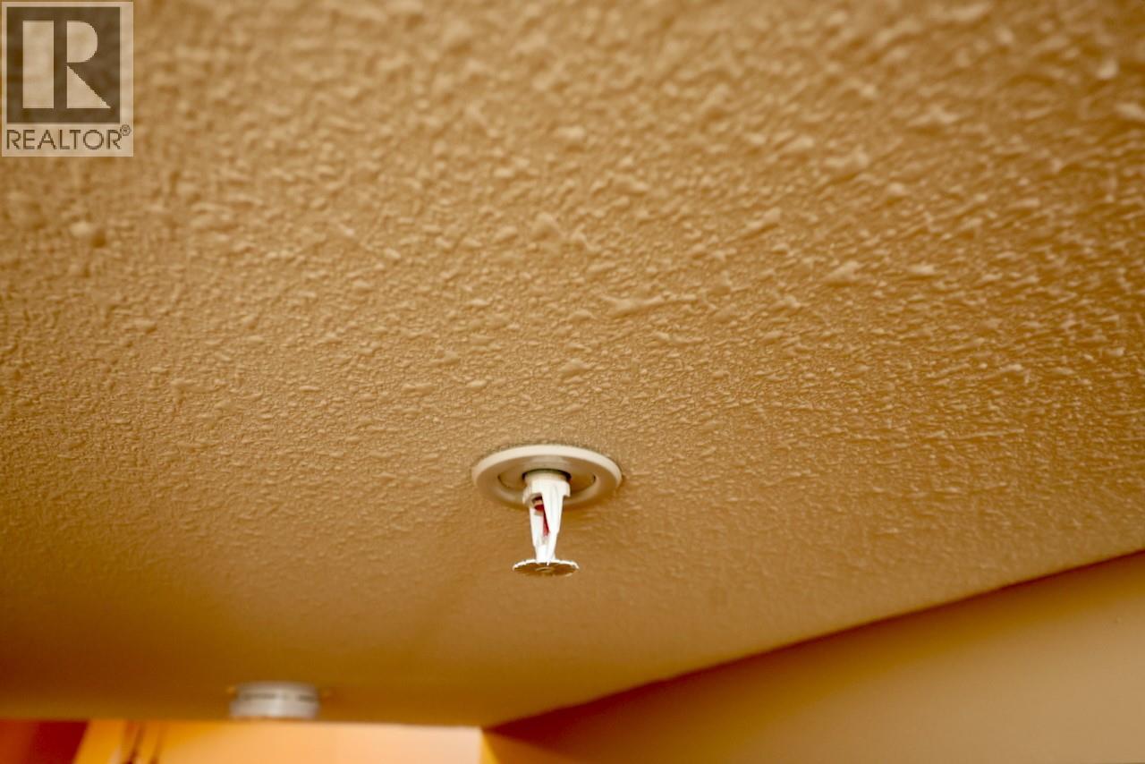 1549 Kicking Horse Trail Unit# 415 (A&b), Golden, British Columbia  V0A 1H0 - Photo 30 - 10367422