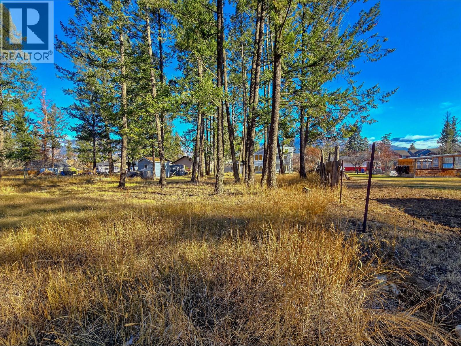 402 12th Avenue, Invermere, British Columbia  V0A 1K0 - Photo 5 - 10366709