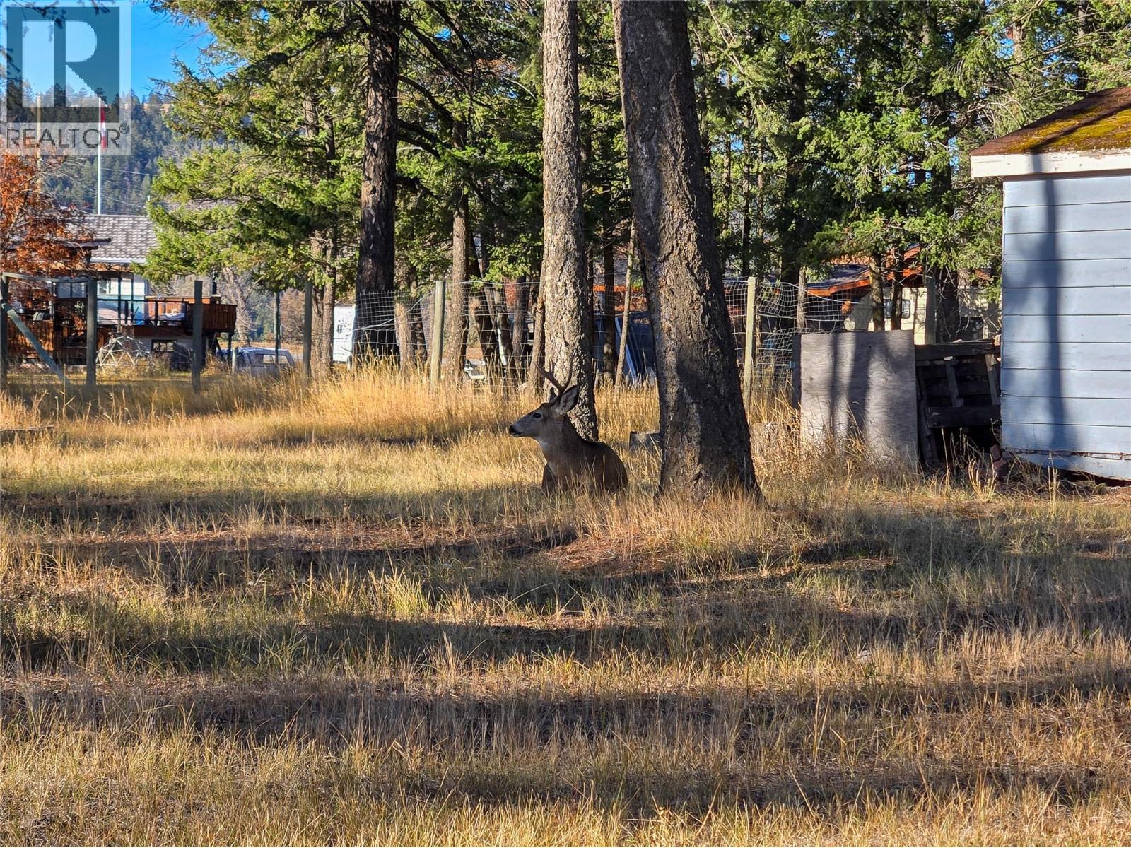402 12th Avenue, Invermere, British Columbia  V0A 1K0 - Photo 51 - 10366709