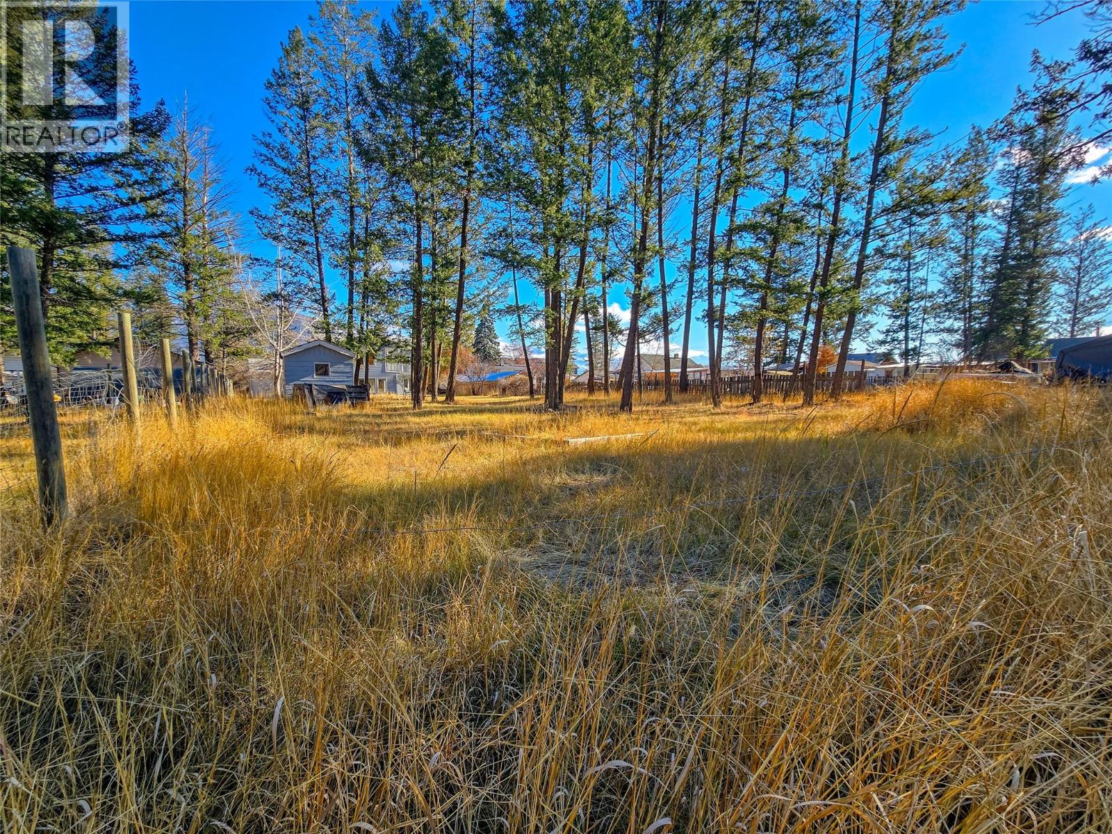 402 12th Avenue, Invermere, British Columbia  V0A 1K0 - Photo 52 - 10366709