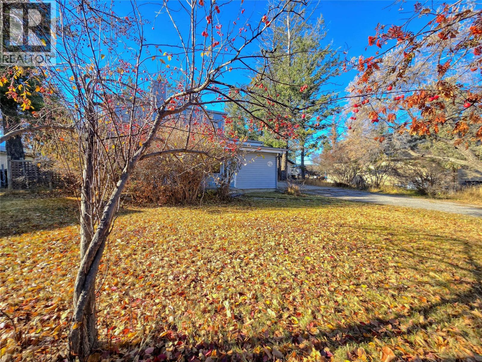 402 12th Avenue, Invermere, British Columbia  V0A 1K0 - Photo 9 - 10366709