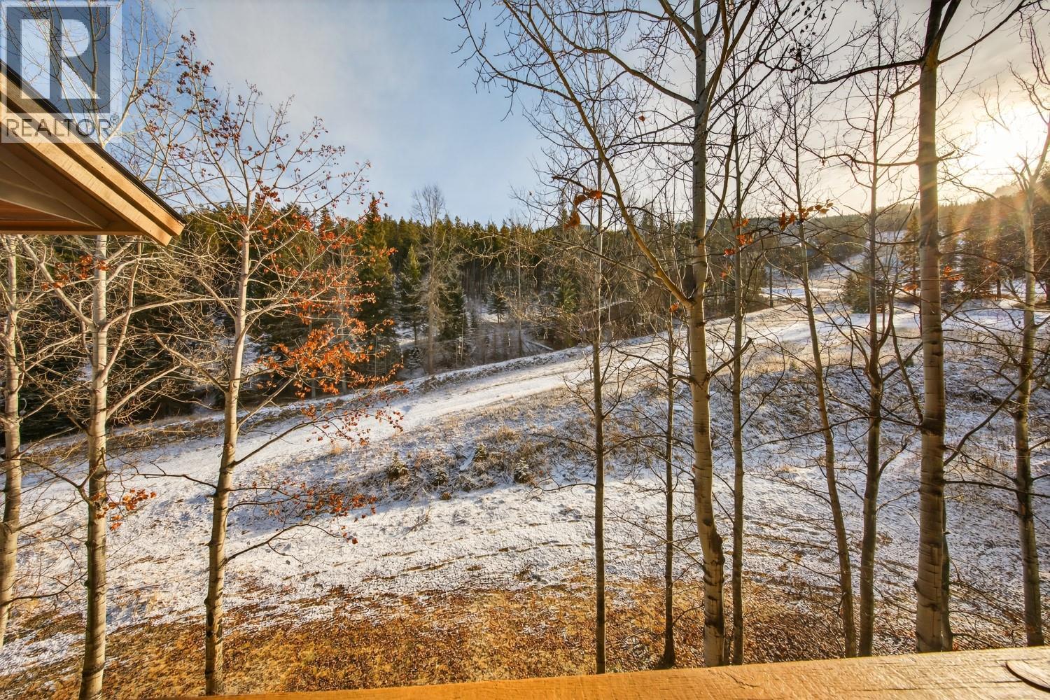 2090 Summit Drive Unit# 415, Panorama, British Columbia  V0A 1T0 - Photo 12 - 10370227