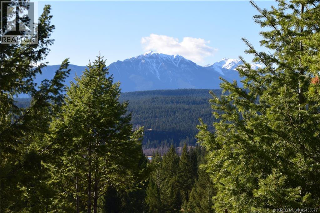 7048 White Tail Lane Lot# 21, Radium Hot Springs, British Columbia  V0A 1M0 - Photo 3 - 10370829