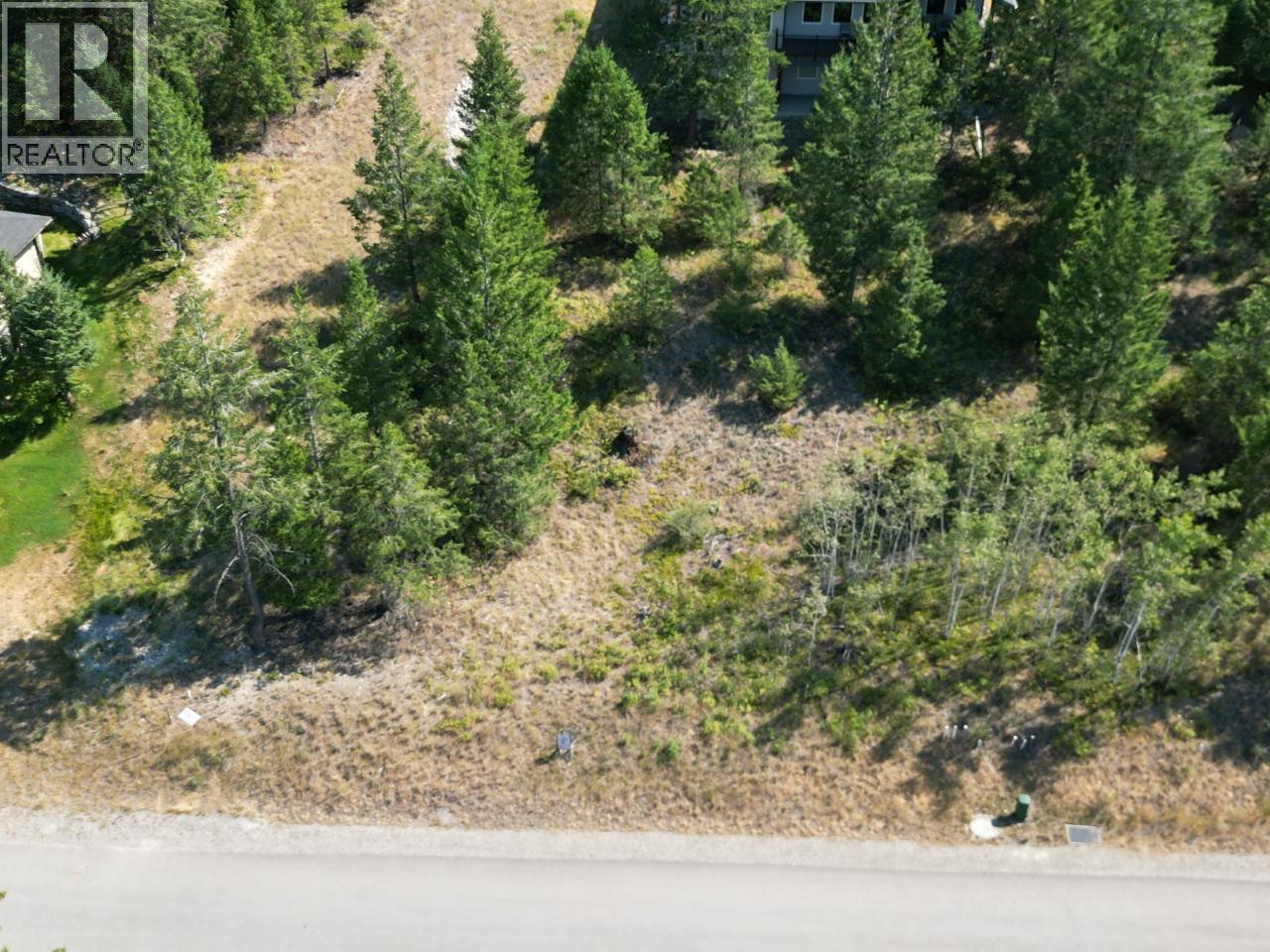 7062 White Tail Lane Lot# 18, Radium Hot Springs, British Columbia  V0A 1M0 - Photo 2 - 10370798